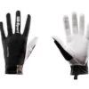 LillSport Legend Roller Gloves (Black) -Feuer And Design Shop 0408 00 2293 591c1bc5b707d6.41274487 0408 00 Legend Roller