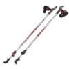 STC Nordic Walking Poles, Telescopic -Feuer And Design Shop 5488 5f969cea637566.84070409 walker28129 7c0rsiy8iwhh9kzk