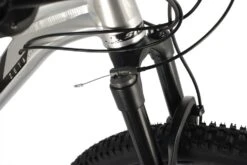 Stinger 29" Zeta Evo 22" Silver (2021) -Feuer And Design Shop 6188 6087cd78762f22.05096933 29ahd.zetaevo.20sl1 5b 4cogksphzxuj1nnl