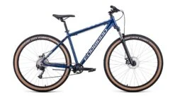 ForwardBURAN 29 2.0 DISC 19" Blue/grey