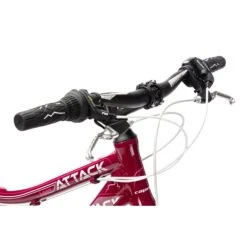 MTB ATTACK W 26" Violet-white 19" -Feuer And Design Shop 8539 6414234951d541.19397945 919565 04 tnivm6xy9fvtamin