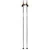 Swix Skate Ski Poles TCS Dynamic D1, Carbon Composite