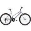 MTB Passion Lady 26"/18HT Silver-pink, 17"